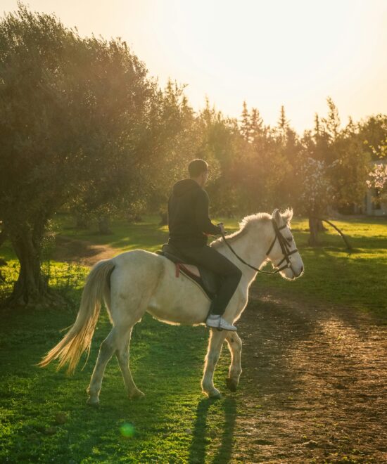 Trento a Cavallo