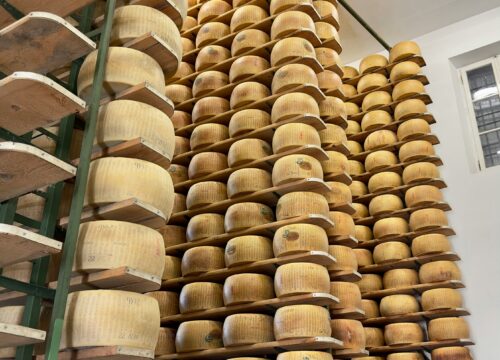 Visita in Caseificio a Parma