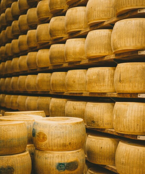 Tour del Parmiggiano a  Parma