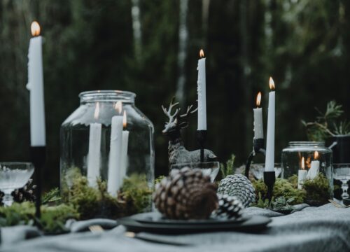 Cena nel bosco a Biella