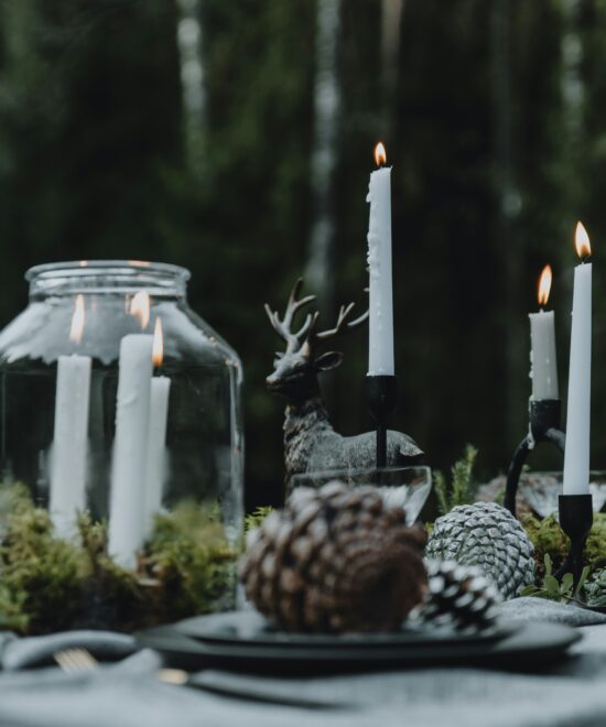 Cena nel bosco a Biella